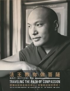 法王教你做菩薩：噶瑪巴佛子行37頌釋論