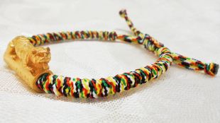 咬錢虎五色手環