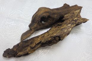 越南惠安沉(不沉水)